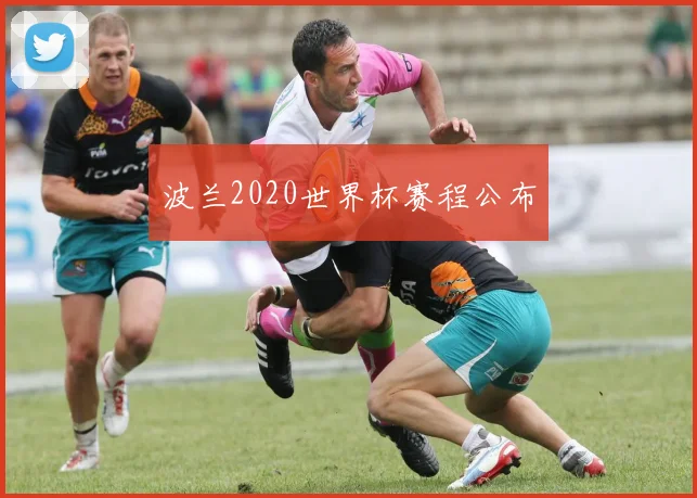 波兰2020世界杯赛程公布